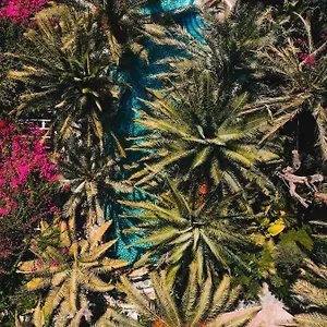 Otel Flamingo & - Pet Friendly